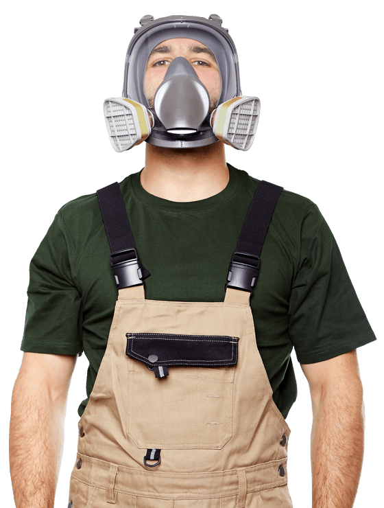 mold removal lewisville texas