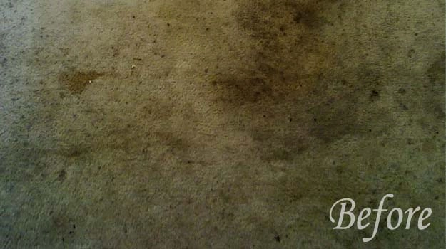 carpet cleaning frisco tx