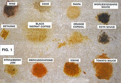 Identifying The Carpet Stain