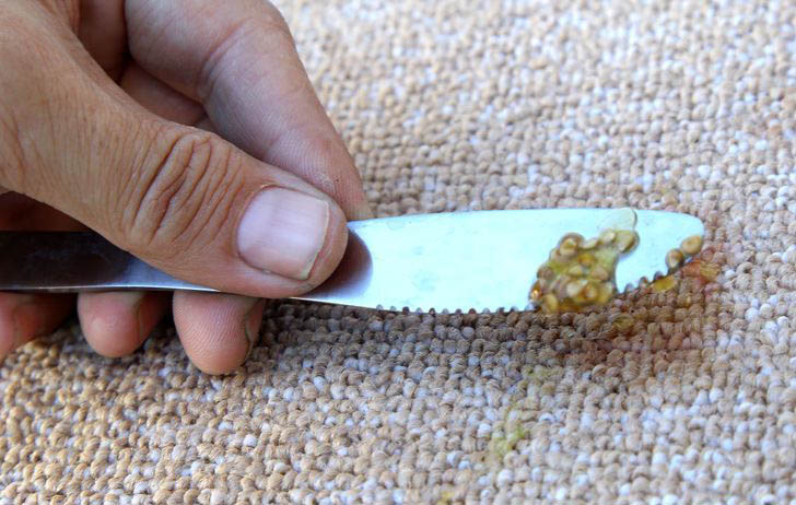 Removing Or Blotting The Debris from carpet