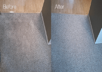 best carpet cleaners in houston