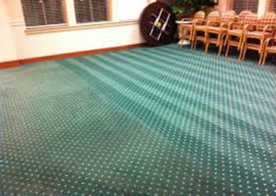 carpet cleaning company houston tx