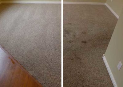 carpet cleaning services in houston tx
