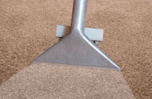 green carpet cleaning dallas